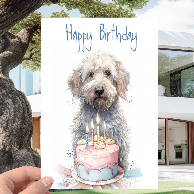 Labradoodle med kummel - Hundälskare Grattis på fö Kort (Skapare uppladdad)