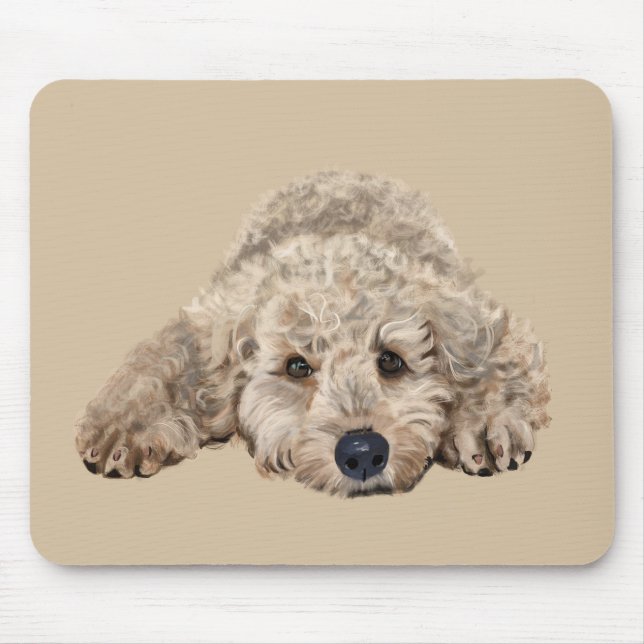 Labradoodle Musmatta (Framsidan)