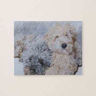 Labradoodle och Goldendoodle Pussel