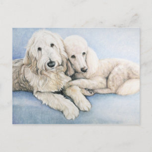 Labradoodle och Standard Pudel Hund Art-vykort Vykort