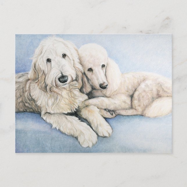 Labradoodle och Standard Pudel Hund Art-vykort Vykort (Framsida)