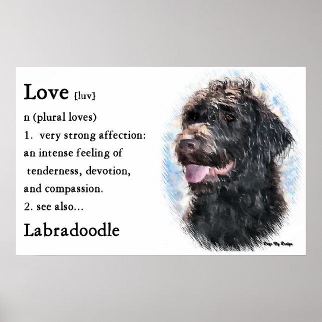 Labradoodle presenterar konstutskrifter poster (Framsidan)