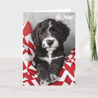 Labradoodle Puppy Valentine Card Tack Kort