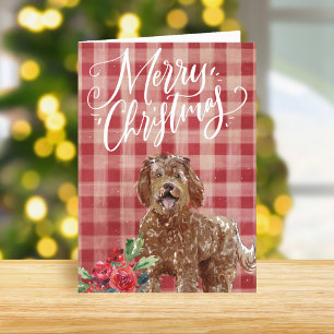 Labradoodle Red Play jul Helgkort