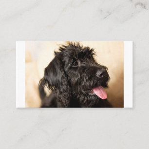 Labradoodle Standard, 3,5 x 2,0-tums platta kort