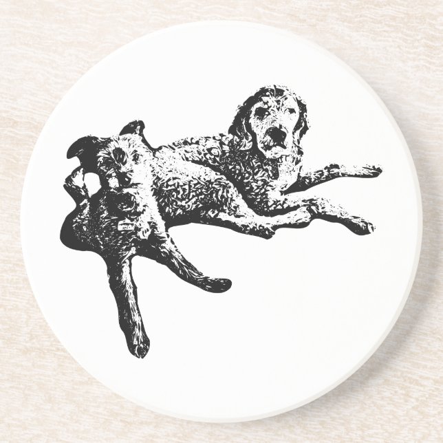  Labradoodle & Terrier Duo Bläckkonst Coaster Underlägg (Framsidan)