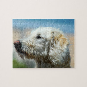 Labradoodle-valp Pussel