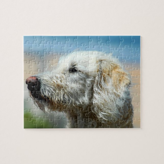 Labradoodle-valp Pussel (Horisontell)
