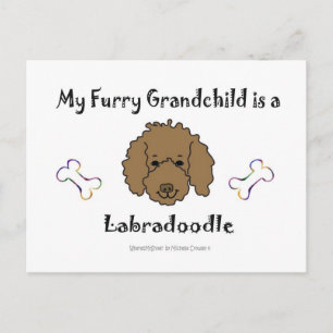 LabradoodleChocolate Vykort