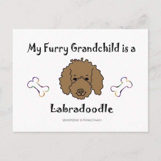 LabradoodleChocolate Vykort (Framsida)