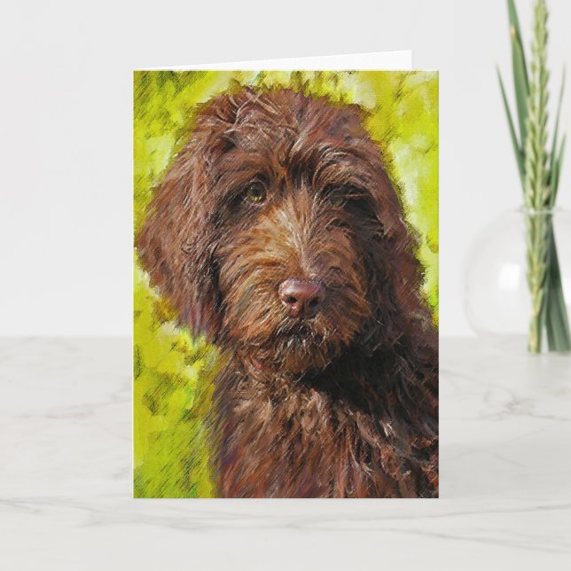 labradoodlekort kort (Framsida)