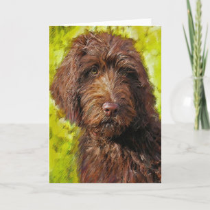 labradoodlekort kort