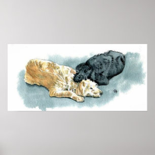 Labradoodles förälskad kanvastryck poster