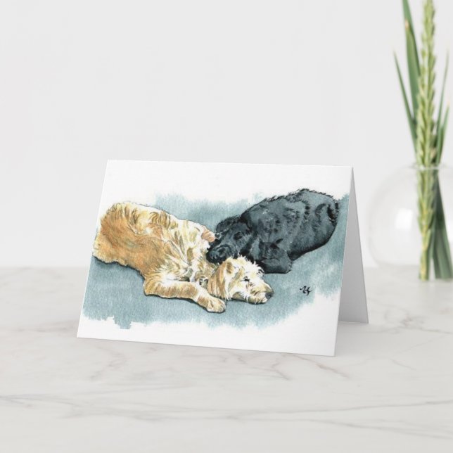 Labradoodles in Kärlek Greeting Card Kort (Framsida)