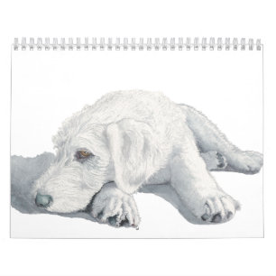 Labradoodles Kalender