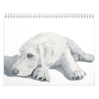 Labradoodles Kalender
