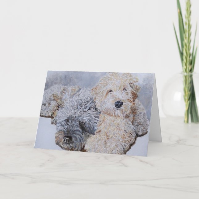 Labradoodles Two Greeting Cards Kort (Framsida)