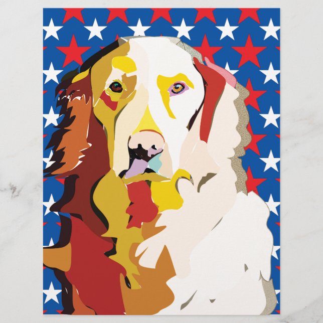 labrador3 (Framsida)