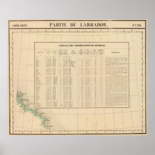 Labrador 29 poster