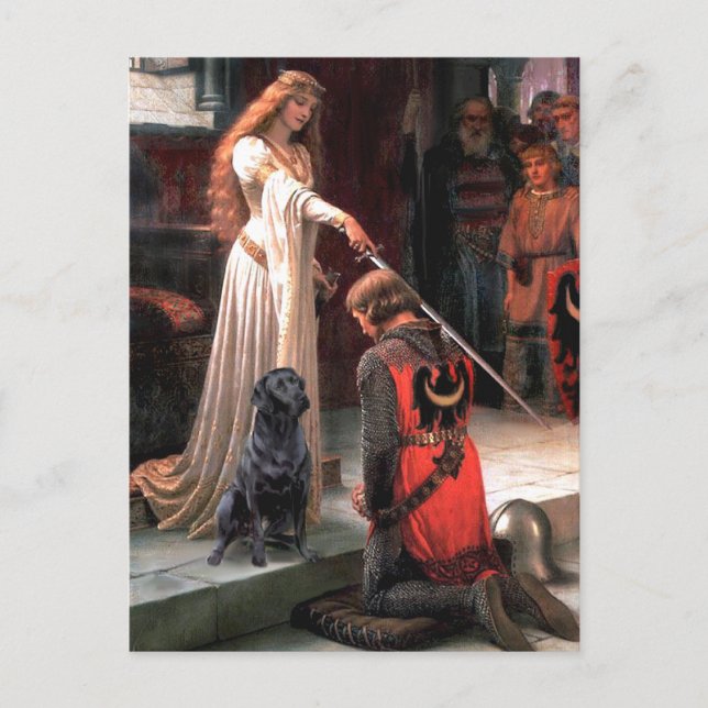Labrador 4 (svart) - Accolade Vykort (Framsida)