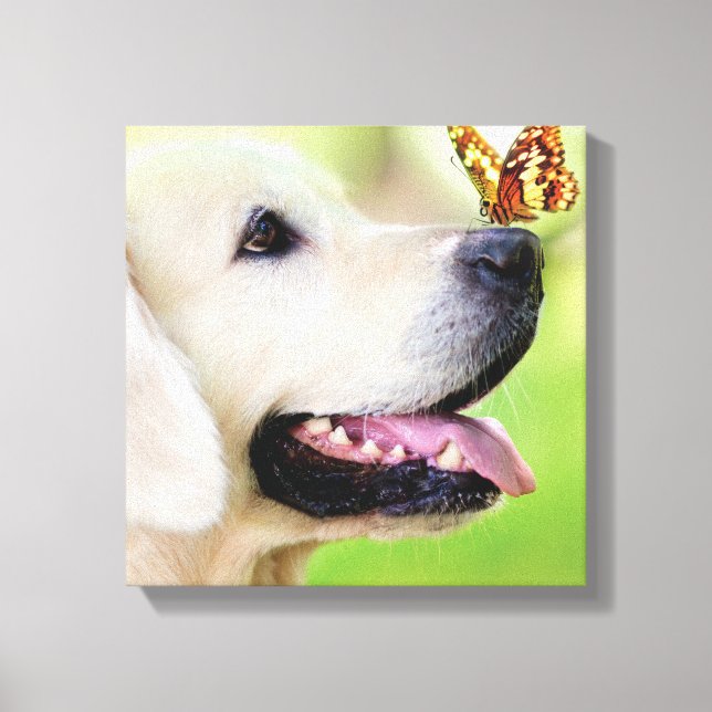 Labrador And Butterfly Throw Pillow Canvastryck (Framsida)