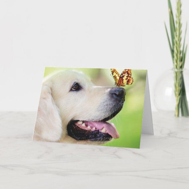 Labrador And Butterfly Throw Pillow Inbjudan (Framsida)