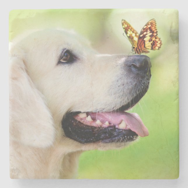Labrador And Butterfly Throw Pillow Stenunderlägg (Framsidan)