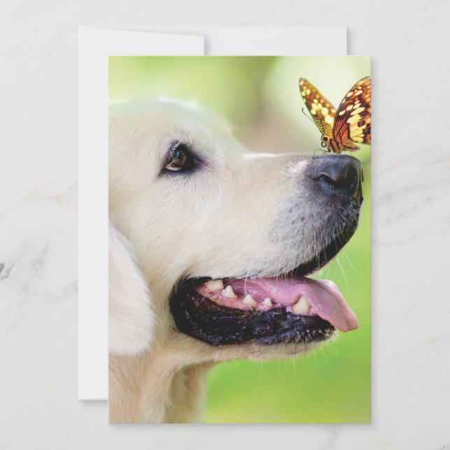 Labrador And Butterfly Throw Pillow Tack Kort (Framsida)