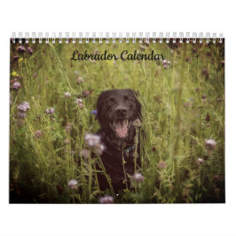 Labrador-Anpassningsbarnas årskalender Kalender