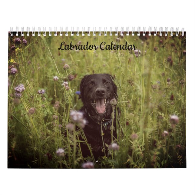 Labrador-Anpassningsbarnas årskalender Kalender (Omslag)