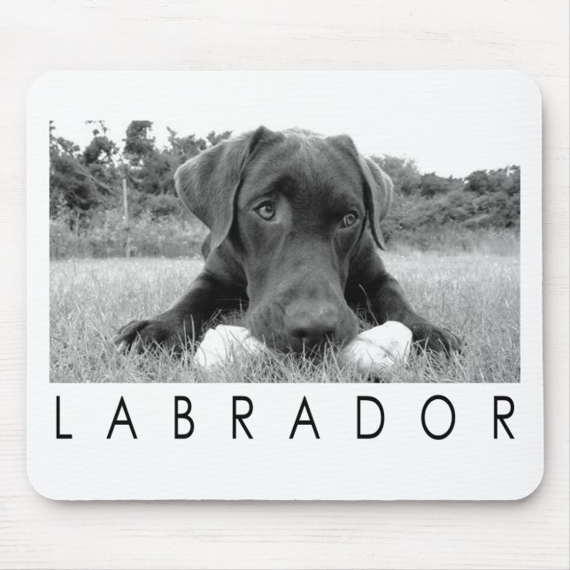 Labrador B&W Musmatta (Framsidan)