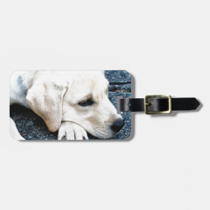Labrador Bagagebricka