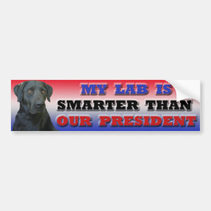 Labrador bildekal