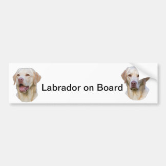 labrador bildekal