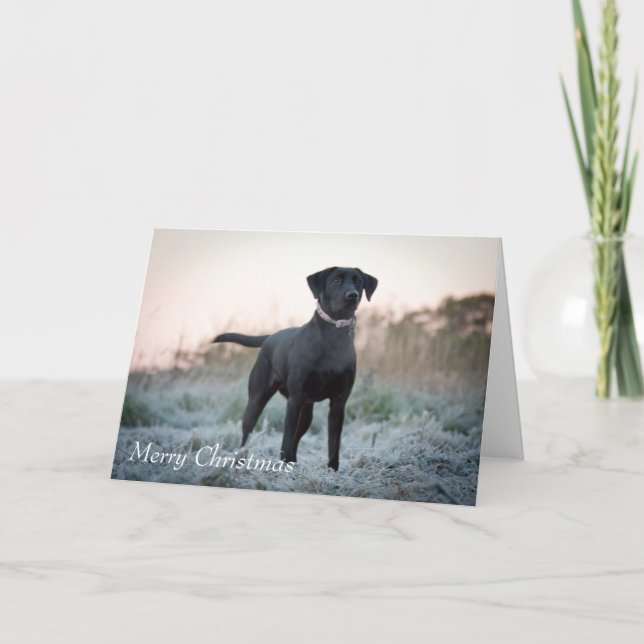Labrador - Black Helgkort (Framsida)