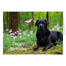 Labrador Black Hund Skogen Butterfly Birthday Hälsningskort