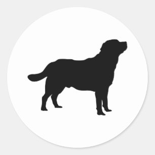Labrador Black Permanent Lab Silhouette Runt Klistermärke