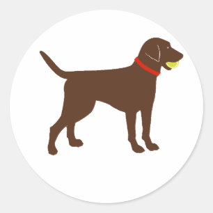 labrador boll fetch, chokladlabbspel runt klistermärke