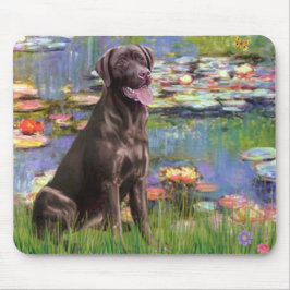 Labrador (Choklad) - Lilior 2 Musmatta