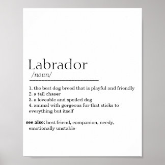 Labrador Definition Poster