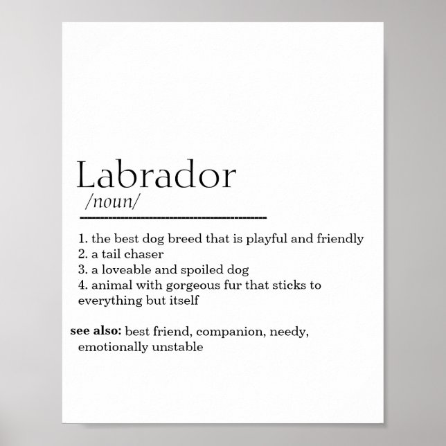 Labrador Definition Poster (Framsidan)