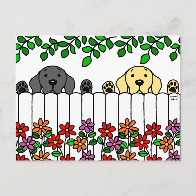 Labrador Duo tittar på dig Vykort (Framsida)