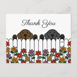 Labrador Duo tittar på ditt Tack vykort