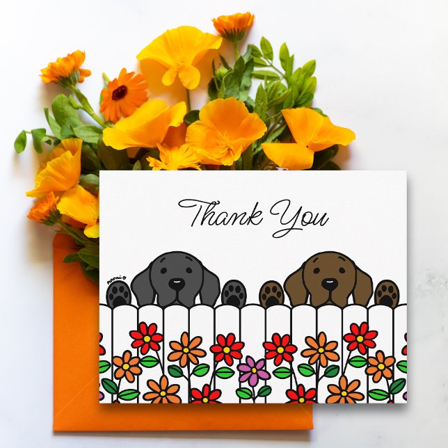 Labrador Duo tittar på ditt Tack vykort (Labrador Watching You Thank You Postcard for Labrador Owners.  Black Lab and Chocolate Lab Design.)