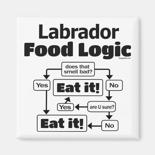 Labrador Food Logic Magnet (Framsidan)
