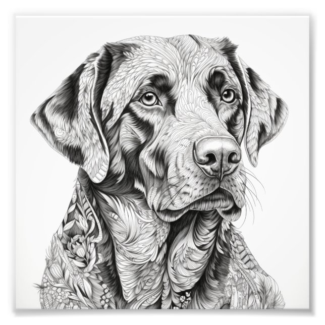 Labrador Gift-kort Fototryck (Framsidan)