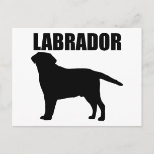 Labrador Gifts! Vykort