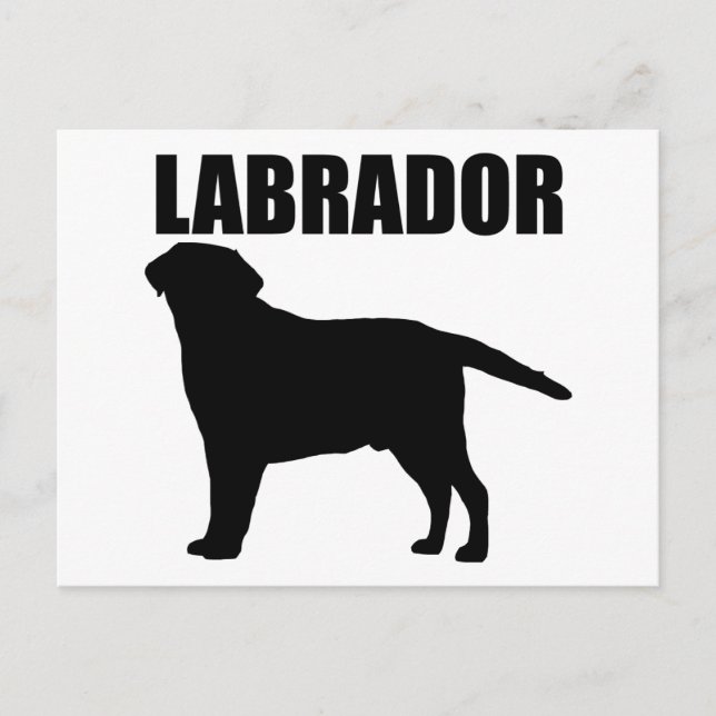 Labrador Gifts! Vykort (Framsida)