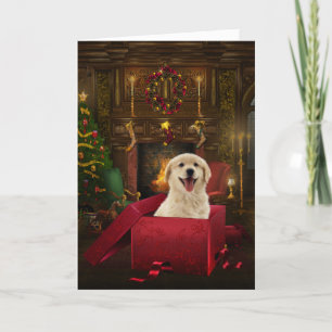 Labrador Golden Retriever julkort Helgkort