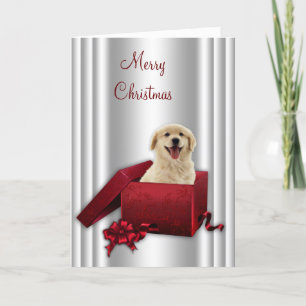 Labrador Golden Retriever julkort Helgkort